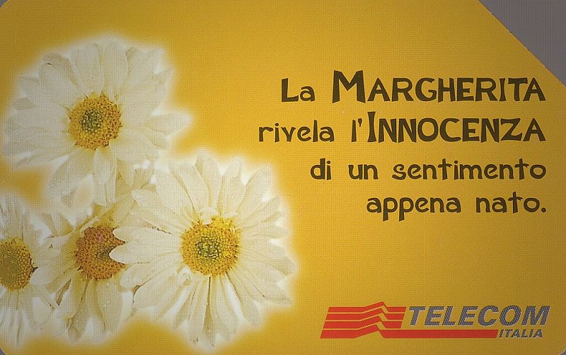 Messaggi Floreali - Margherita