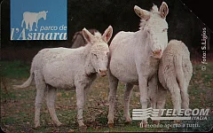 Parco De L'Asinara