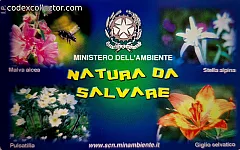 Natura Da Salvare - Flora