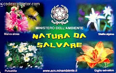 Natura Da Salvare - Flora