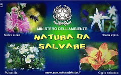 Natura Da Salvare - Flora