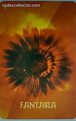 Dal 1976 Collezioniamo Emozioni - Fantasia