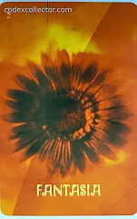 Dal 1976 Collezioniamo Emozioni - Fantasia