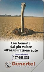 Genertel - Struzzo