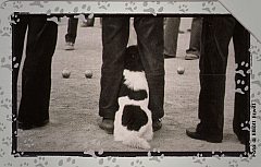 Al Mio Cane Manca... - Una Partita A Bocce