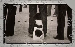 Al Mio Cane Manca... - Una Partita A Bocce