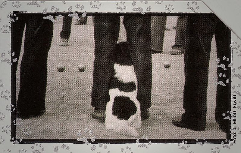 Al Mio Cane Manca... - Una Partita A Bocce