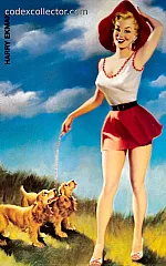 Pin Up - Harry Ekman