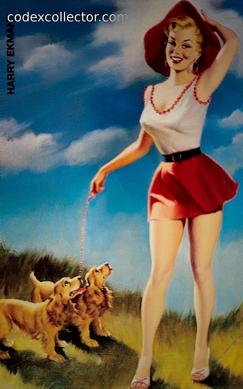 Pin Up - Harry Ekman