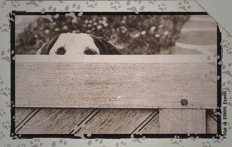 Al Mio Cane... - Attenti Alla Spia