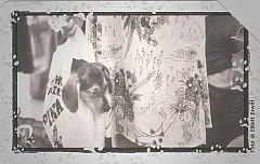 Al Mio Cane... - Bagaglio A Mano