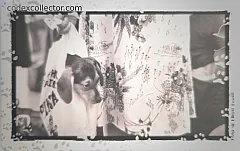 Al Mio Cane... - Bagaglio A Mano (L. 10.000)