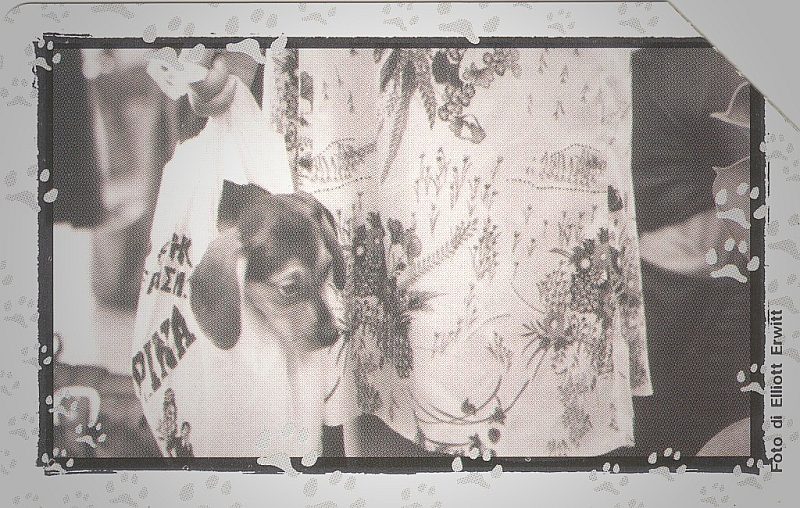 Al Mio Cane... - Bagaglio A Mano