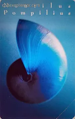 Gioielli Del Mare - Nautilus Pompilius (L. 5.000)