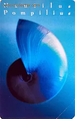 Gioielli Del Mare - Nautilus Pompilius (L. 5.000)
