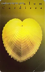 Gioielli Del Mare - Corculum Cardissa (L. 15.000)
