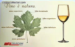 14a Manifestazione di Piacenza 2001 - Vino è natura (L. 2.000)