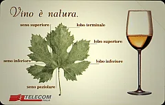 14a Manifestazione di Piacenza 2001 - Vino è natura