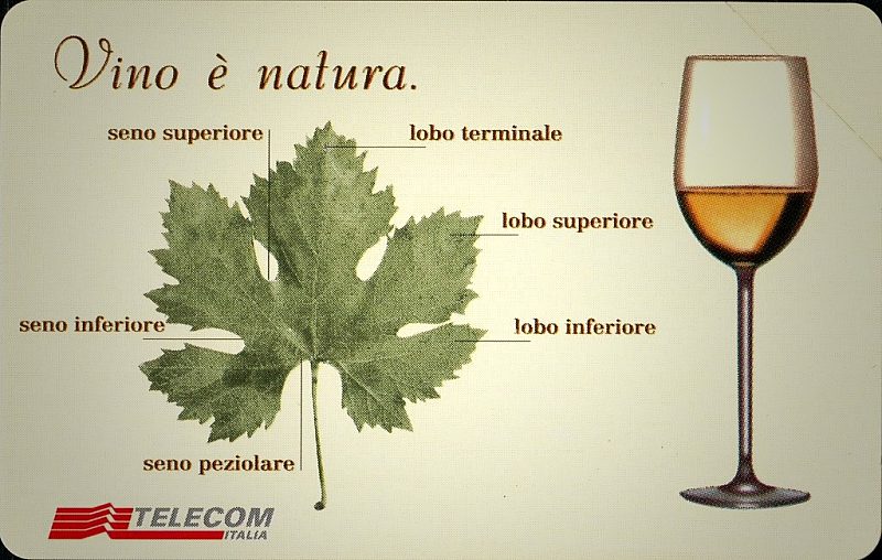 14a Manifestazione di Piacenza 2001 - Vino è natura