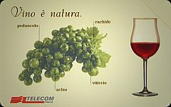 14a Manifestazione di Piacenza 2001 - Vino è natura