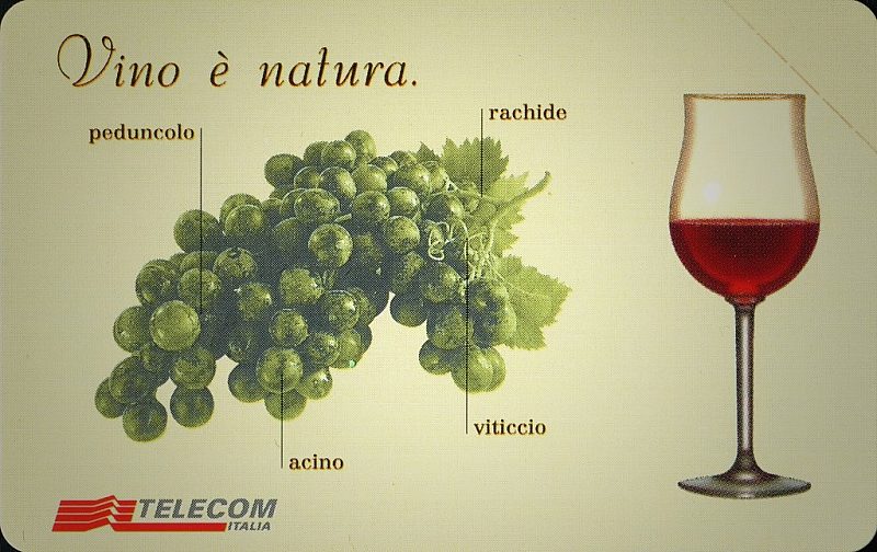 14a Manifestazione di Piacenza 2001 - Vino è natura