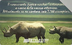 Animali Che... - Rinoceronte Bianco