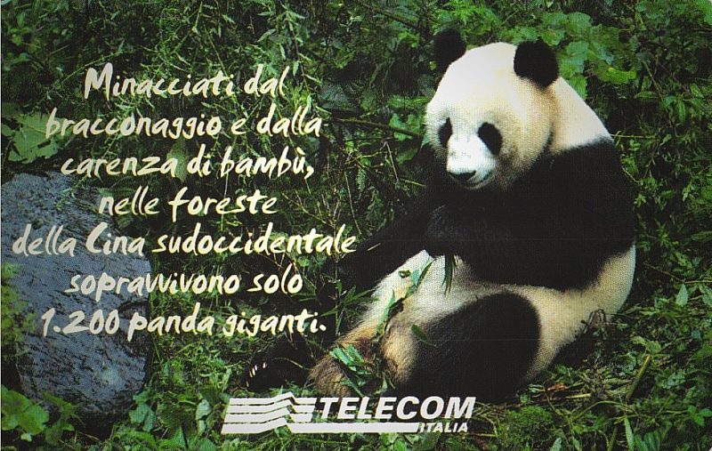 Animali Che... - Panda