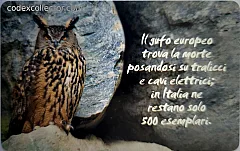 Animali Che... - Il Gufo (L. 10.000)