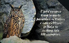 Animali Che... - Il Gufo