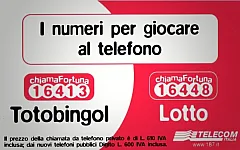Totobingol