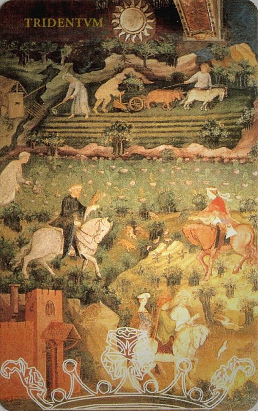 Trentino d'Arte - N. 5