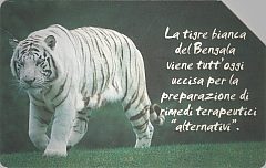 Animali Che... - Tigre Bianca