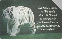 Animali Che... - Tigre Bianca