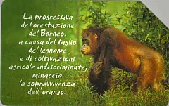 Animali Che... - Orango