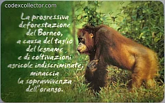 Animali Che... - Orango (€ 5)