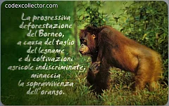Animali Che... - Orango (€ 5)