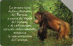 Animali Che... - Orango