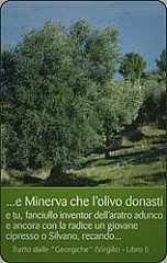 Piacenza 2002 - La Pianta