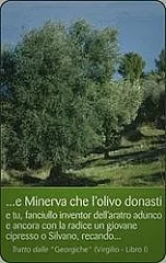 Piacenza 2002 - La Pianta