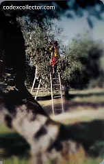 98° Veronafil - La Raccolta (€ 5)