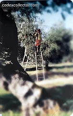 98° Veronafil - La Raccolta (€ 5)