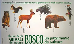 Il Bosco Da Salvare - Animali (€ 5)