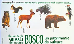 Il Bosco Da Salvare - Animali (€ 5)
