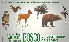 Il Bosco Da Salvare - Animali