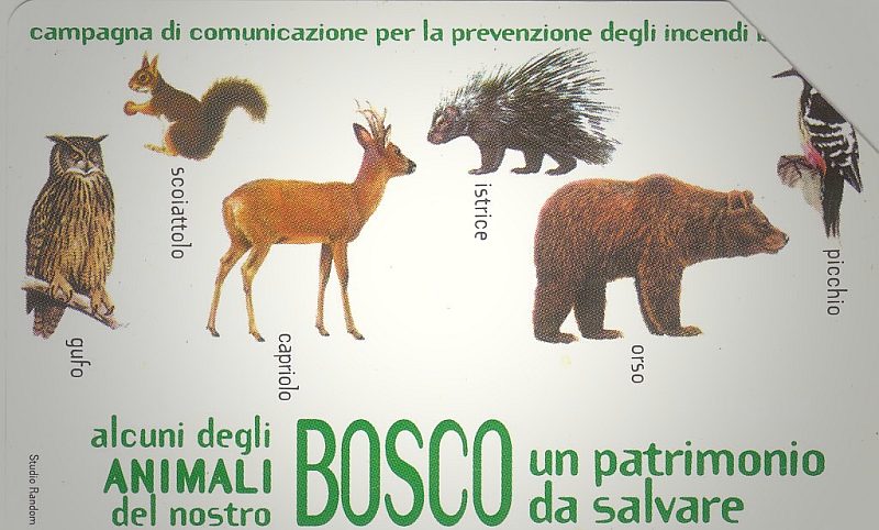 Il Bosco Da Salvare - Animali