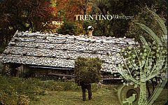 Trentino Montagna - Lavoro