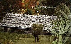 Trentino Montagna - Lavoro