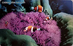 L'atollo e i suoi abitanti - Pesce Pagliaccio (€ 2,50)