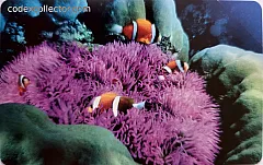 L'atollo e i suoi abitanti - Pesce Pagliaccio (€ 2,50)