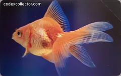 L'atollo e i suoi abitanti - Pesce D'Oro (€ 2,50)